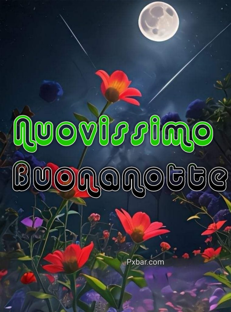 Buona Notte Immagini