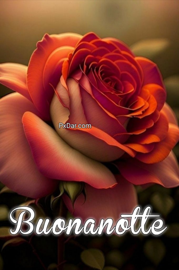 Buona Notte Immagini Nuove Gratis