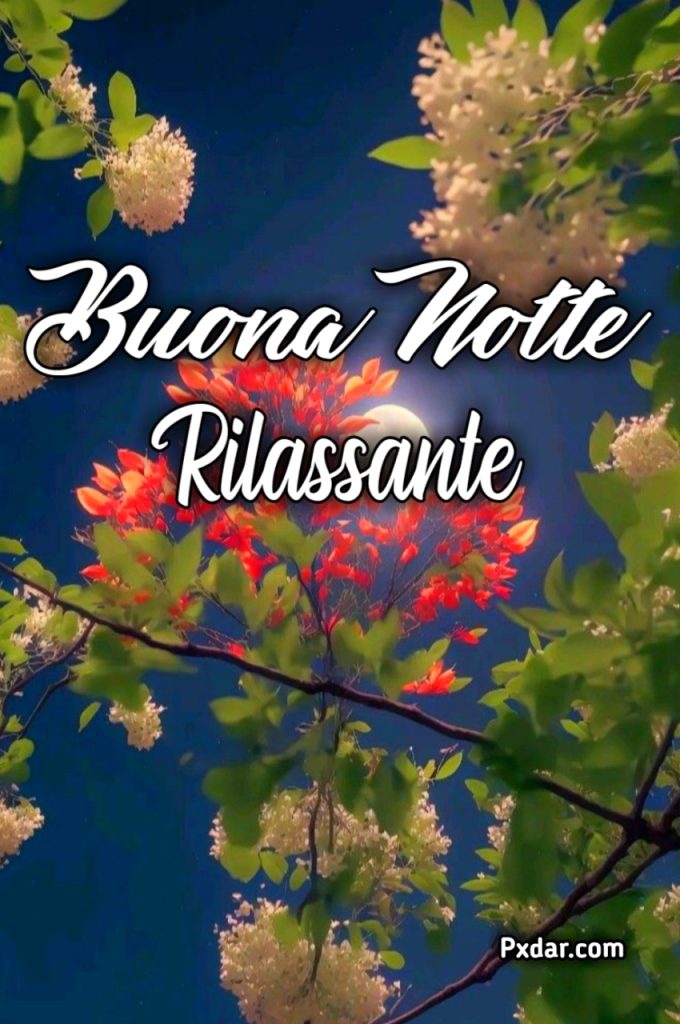 Buona Notte Musica Rilassante