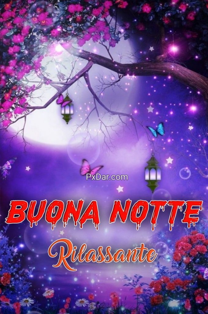 Buona Notte Rilassante Frasi