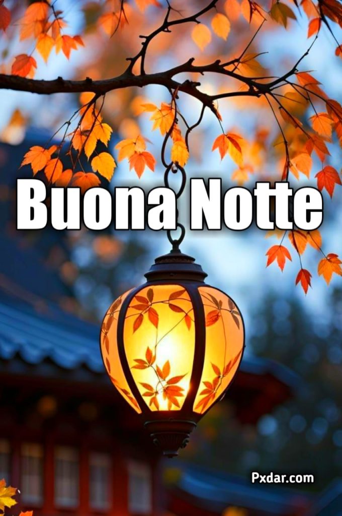 Buona Notte Semplicemente Buonanotte