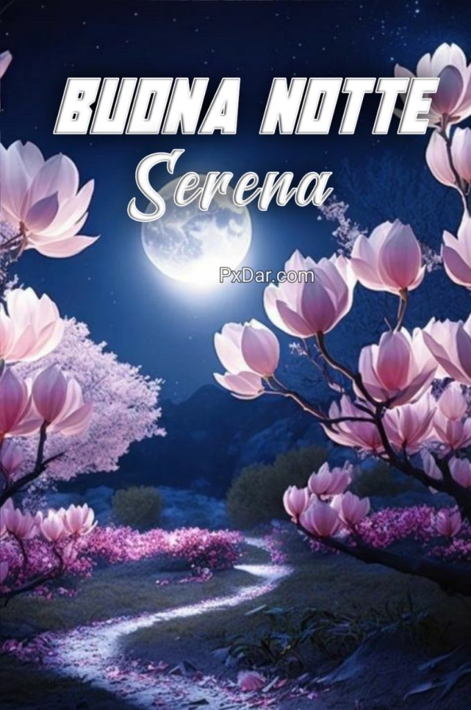 Buona Notte Serena A Domani