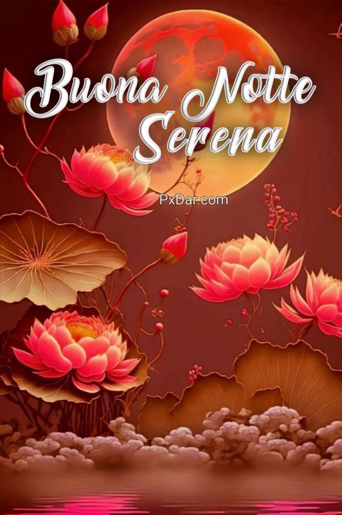 Buona Notte Serena Immagini