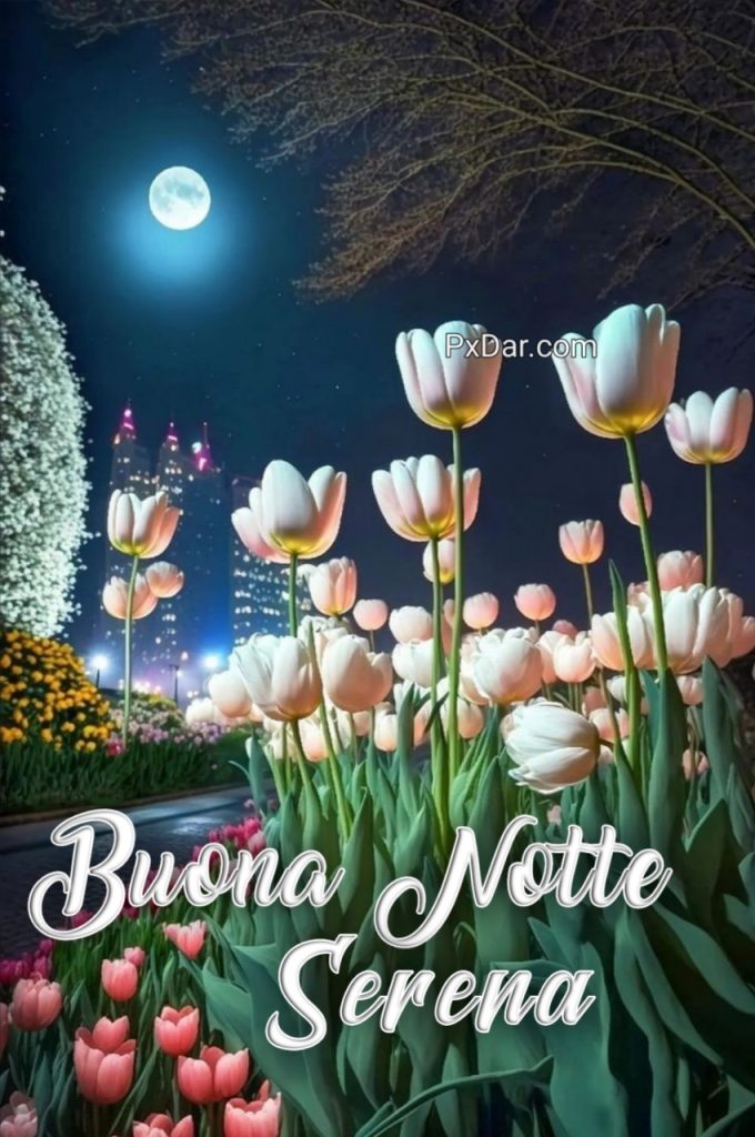 Buona Notte Serena Notte Immagini Nuove