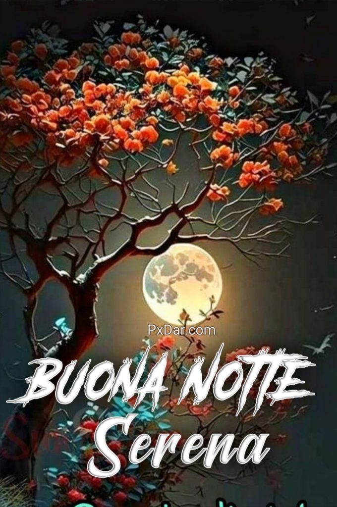 Buona Notte Serena Notte Immagini Nuove Gratis