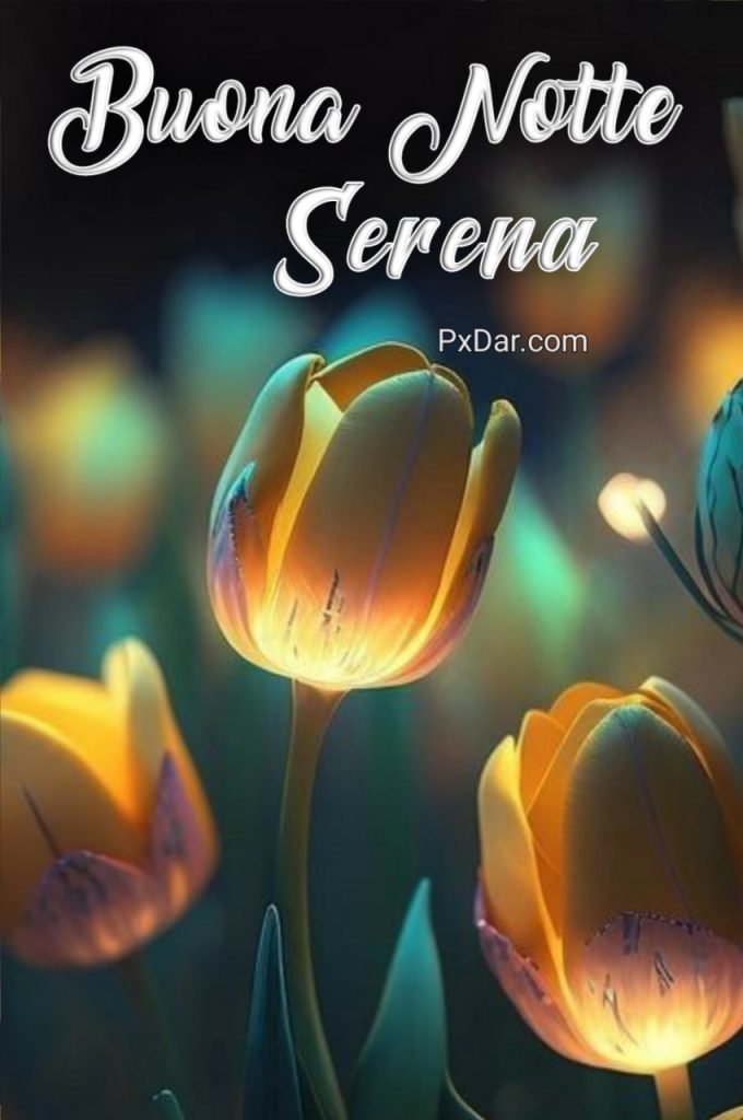 Buona Notte Serena Notte Immagini Nuove Gratis Per Whatsapp