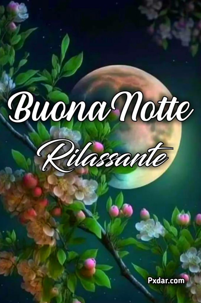 Buona Notte Sii Tranquillo Rilassati Nel Corpo