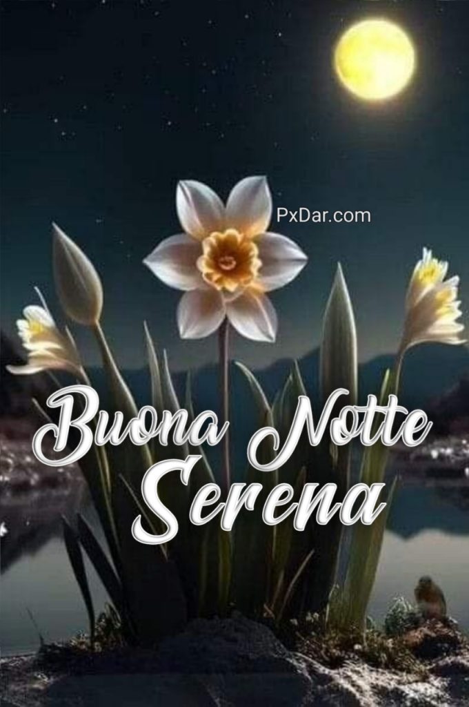 Buona Notte Sogni Sereni