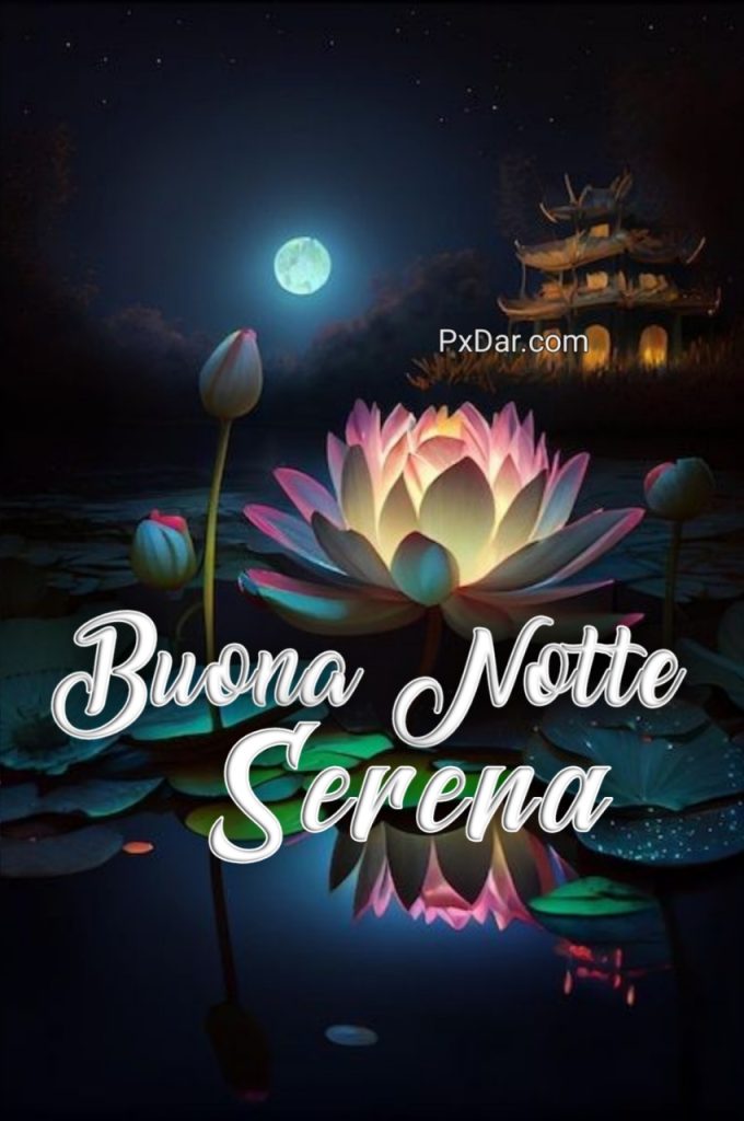 Buona Serata Serena Notte