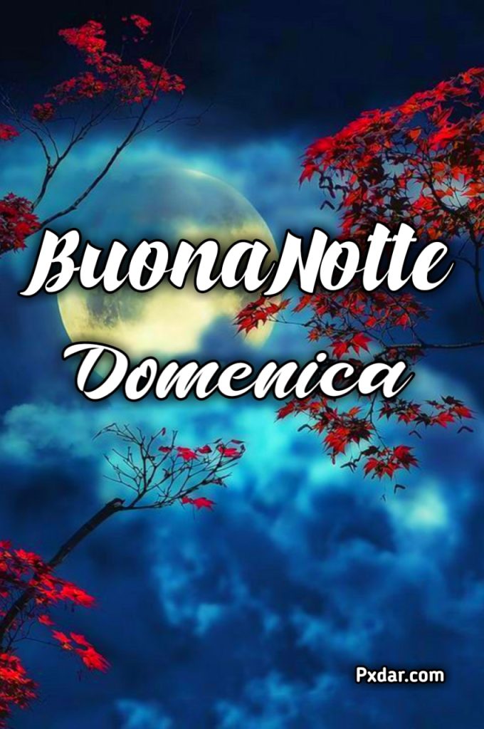 Buonanotte A Domani