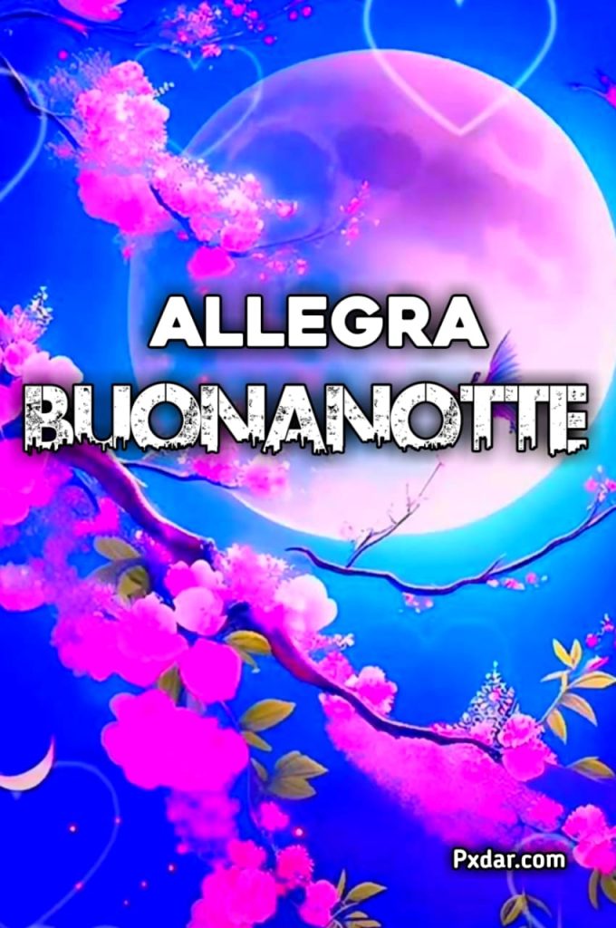 Buonanotte Allegra Gif