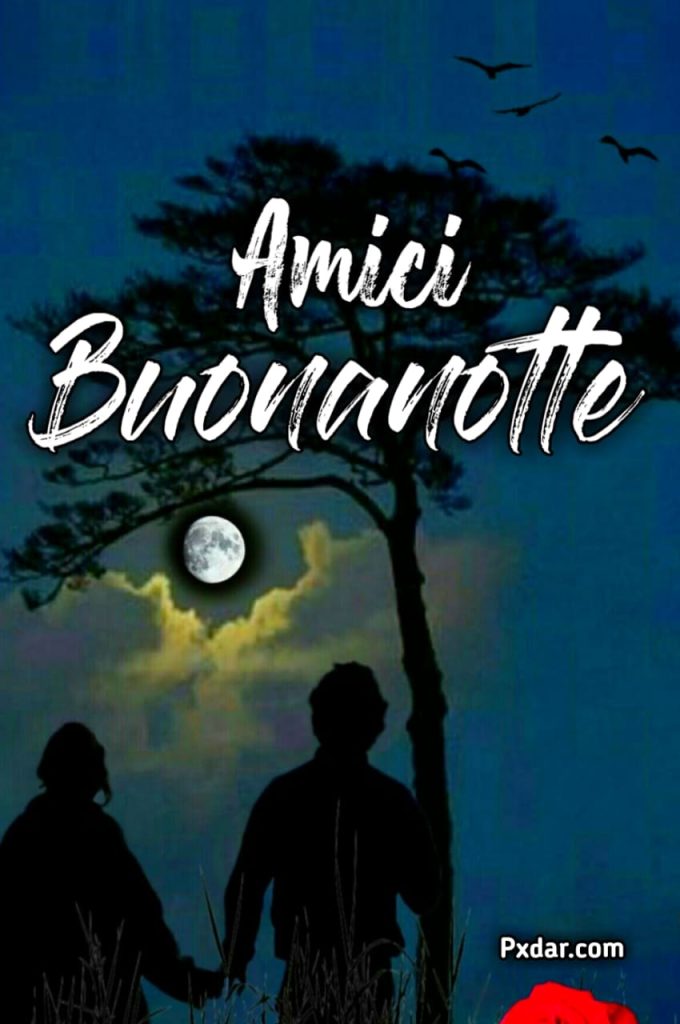 Buonanotte Amico Mio