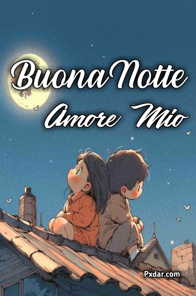 Buonanotte Amore Per Whatsapp