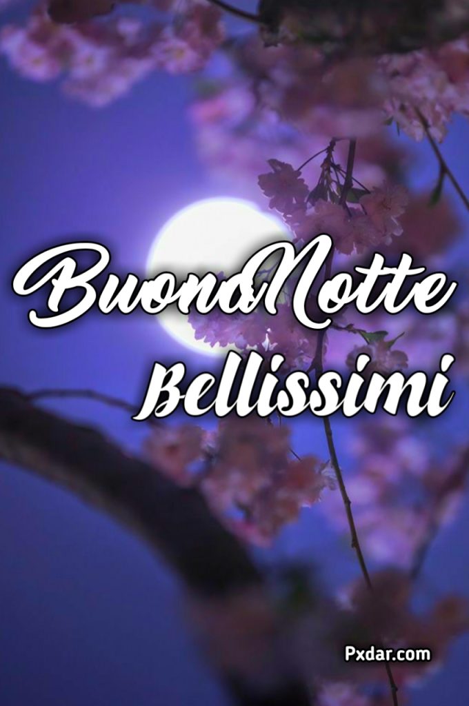 Buonanotte Bellissima