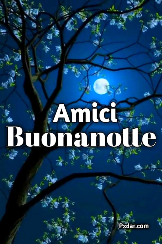 Buonanotte Cara Amica A Domani