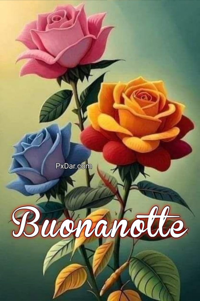 Buonanotte Con Abbraccio