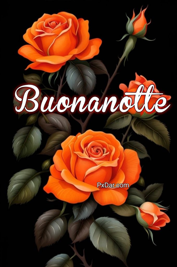 Buonanotte Con Affetto E Amicizia