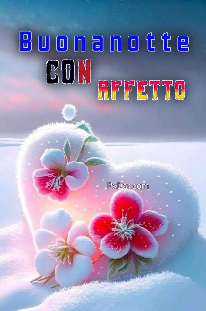 Buonanotte Con Affetto Gif