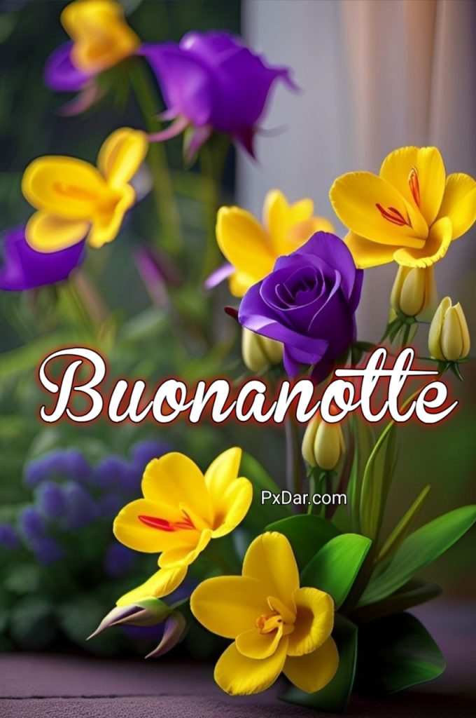 Buonanotte Con Affetto Immagini Belle Whatsapp