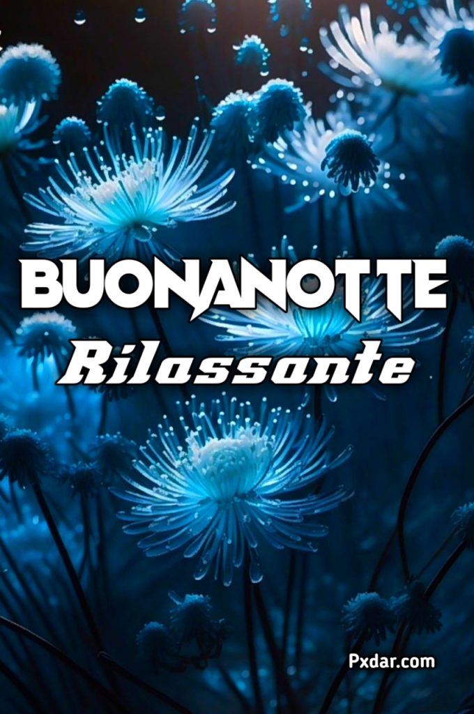 Buonanotte Di Rilassamento