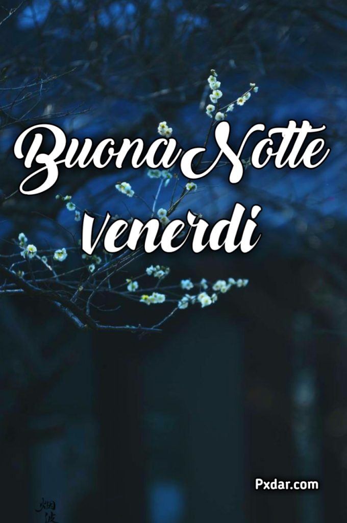 Buonanotte Di Venerdì