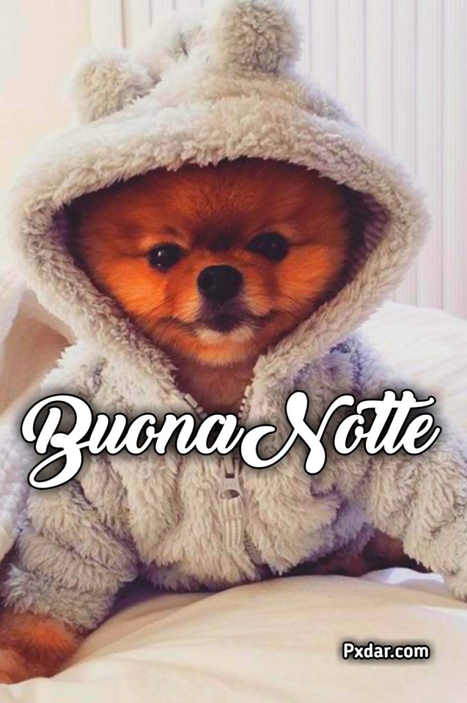 Buonanotte Divertente