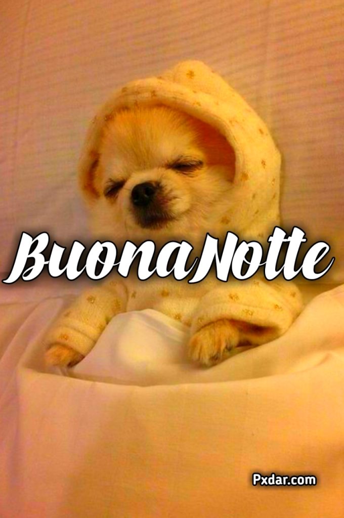 Buonanotte Divertentissima