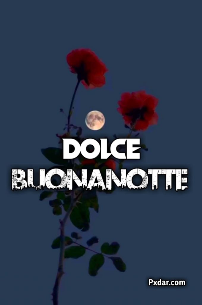 Buonanotte Dolce E Serena