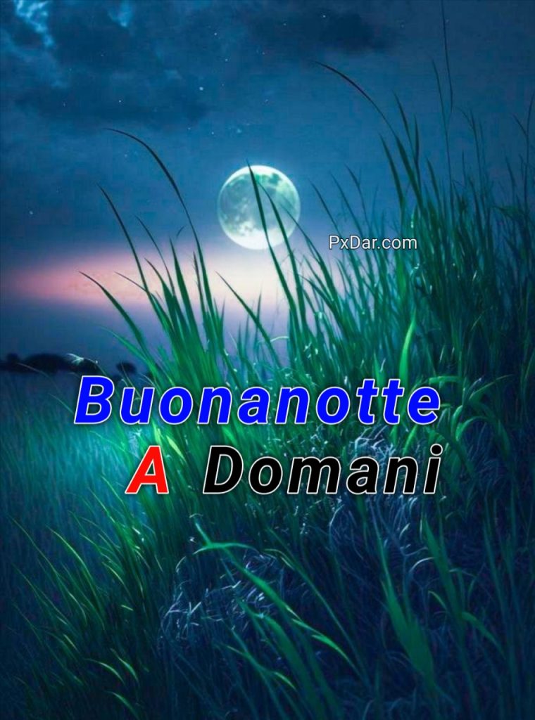 Buonanotte Gif Nuove