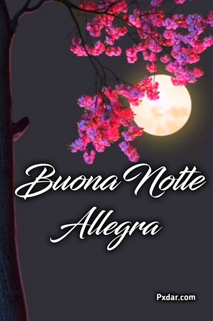 Buonanotte Gratis Per Whatsapp 2024