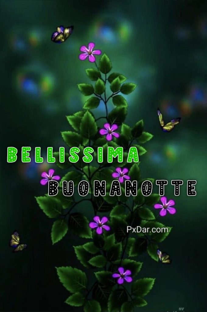 Buonanotte Immagini Bellissime