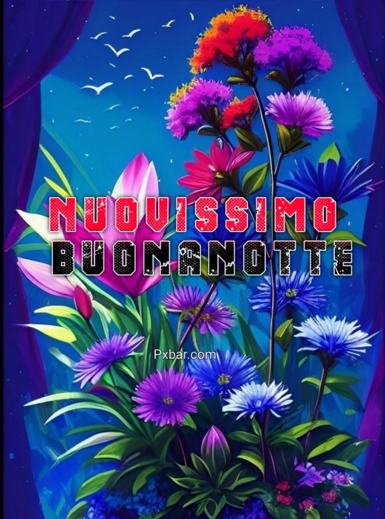 Buonanotte Immagini Nuove 2023 Toghigi Paper