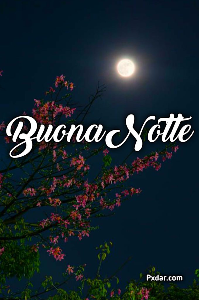 Buonanotte Immagini Nuove 2024