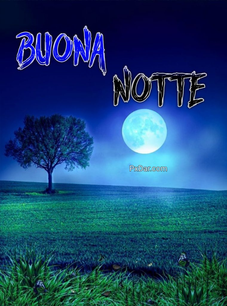 Buonanotte Immagini Nuove 2024