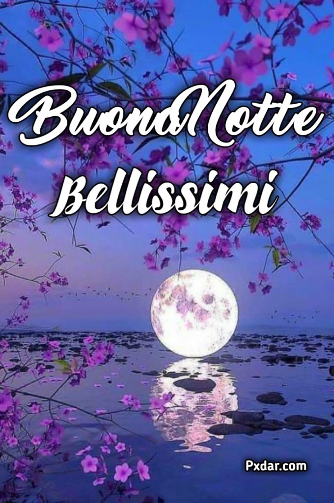 Buonanotte Invernale Bellissima