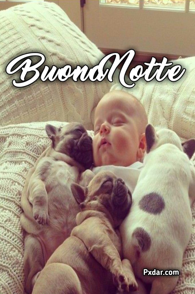 Buonanotte Invernale Divertente