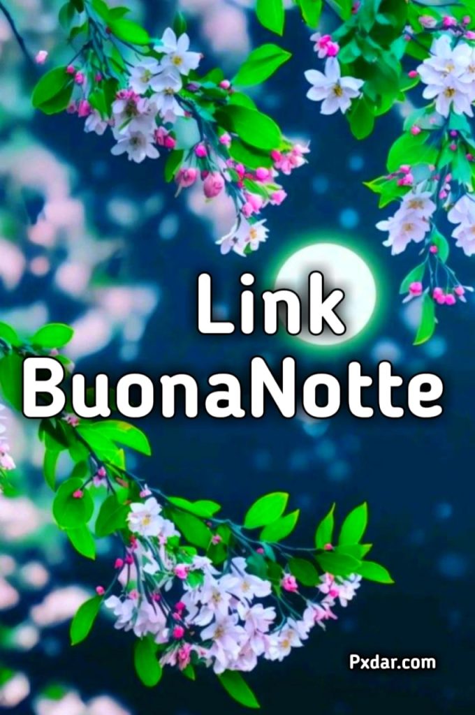 Buonanotte Link Di Fragolina