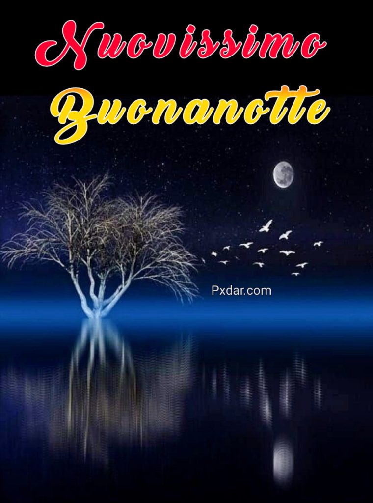 Buonanotte Originalissima