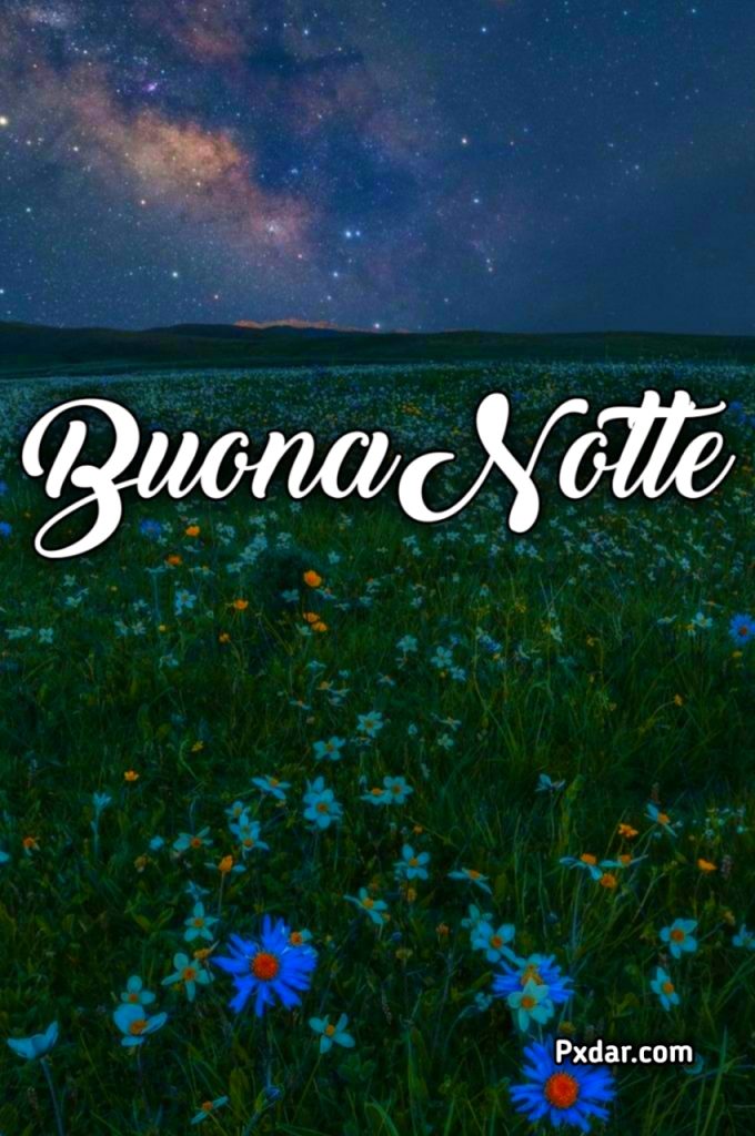 Buonanotte Originalissima