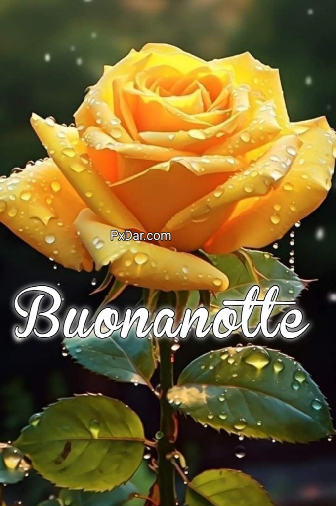 Buonanotte Originalissima Gif Whatsapp