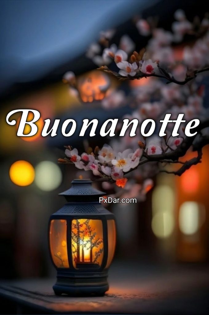 Buonanotte Pietra Rosa