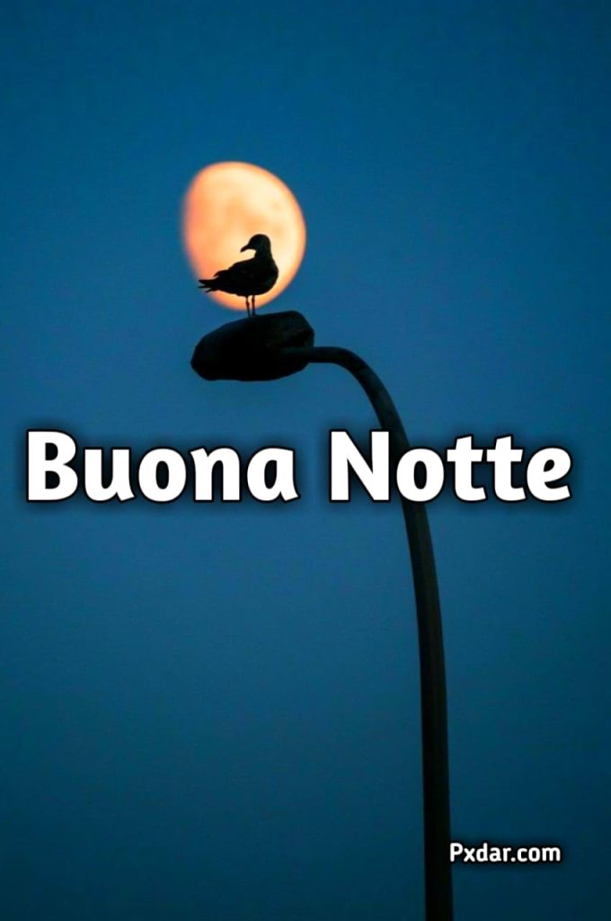 Buonanotte Semplice Immagini