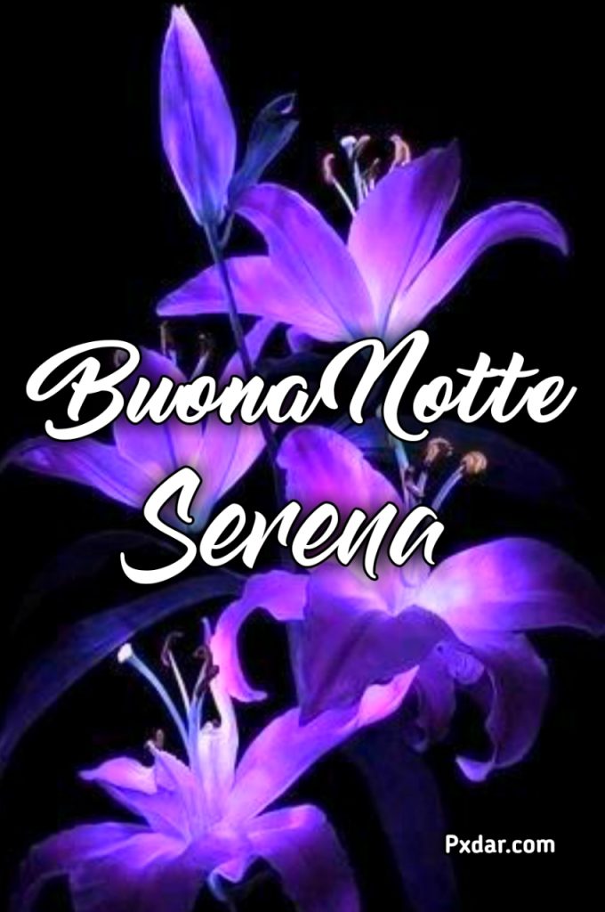 Buonanotte Serena