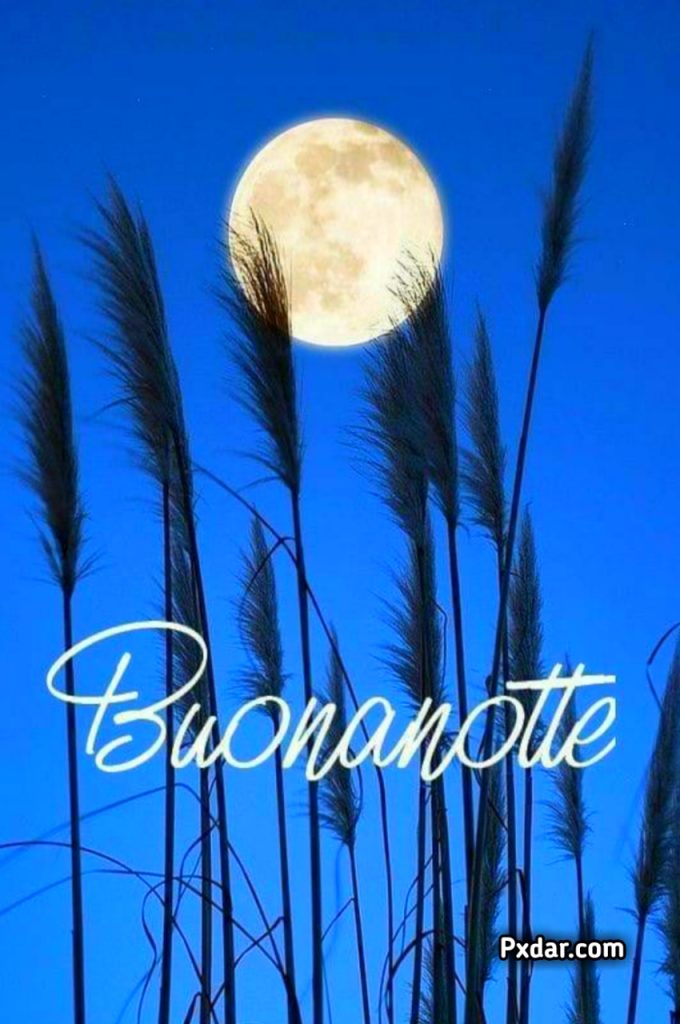 Buonanotte Simpatica