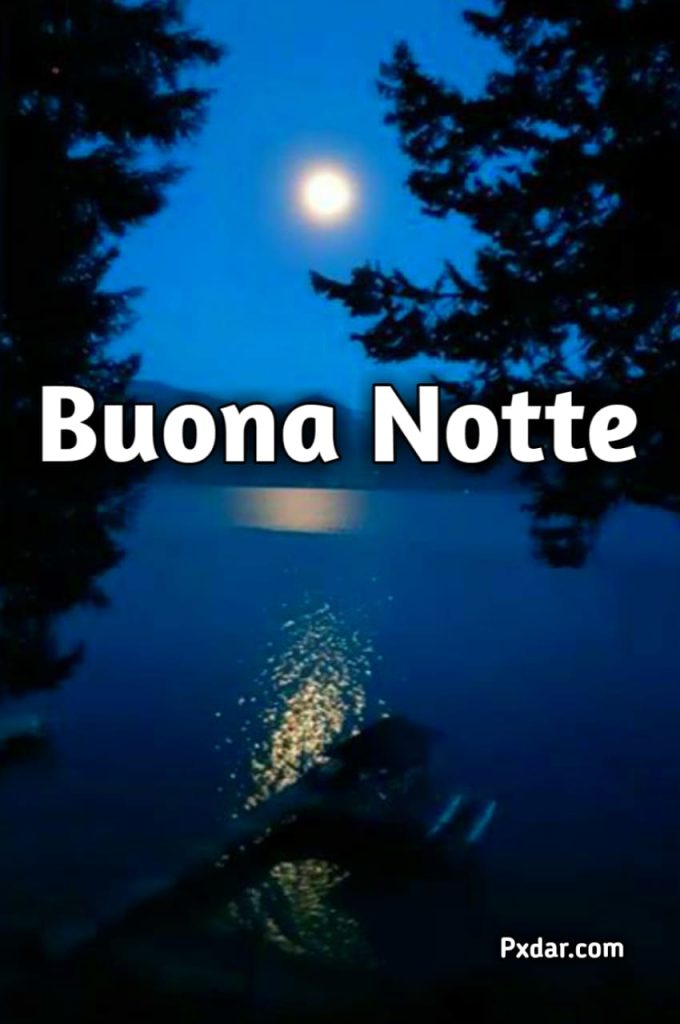 Buonanotte Simpatici Gif