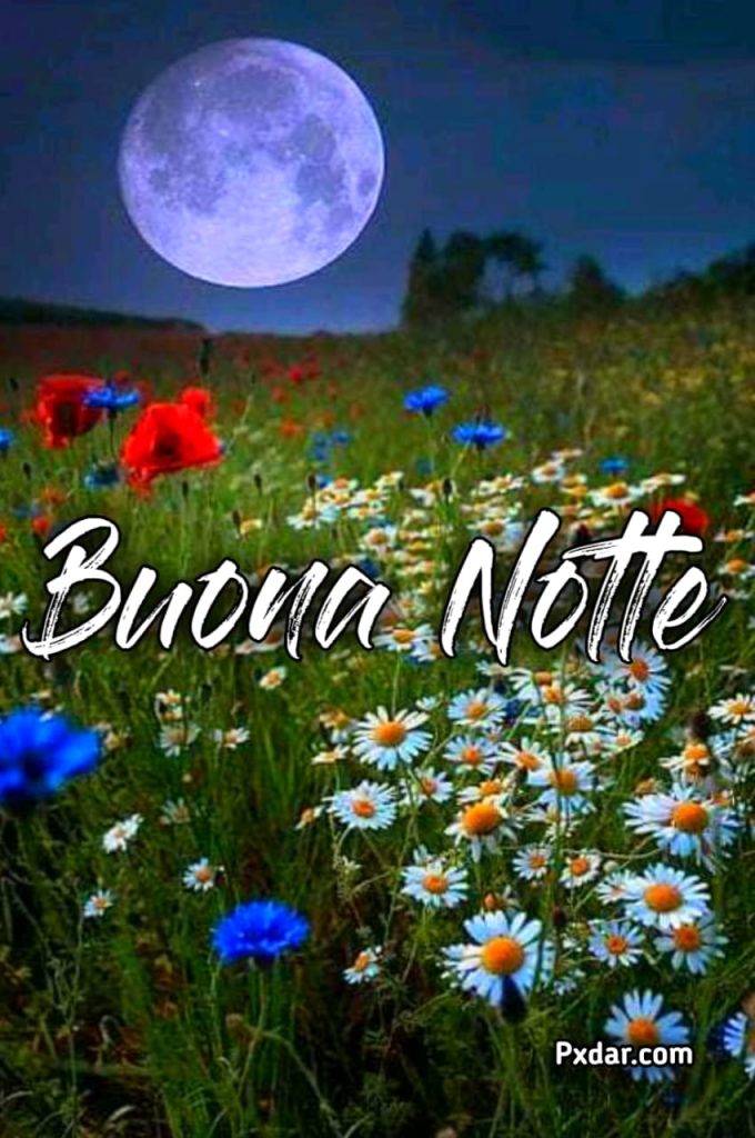 Buonanotte Simpatico