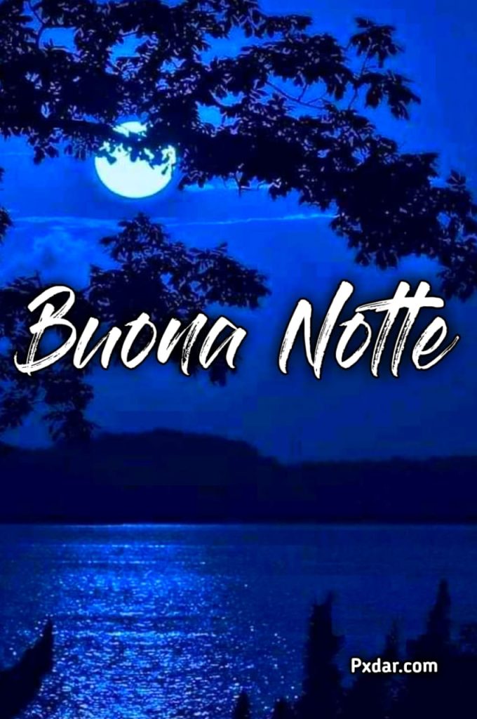 Buonanotte Simpatico Gif