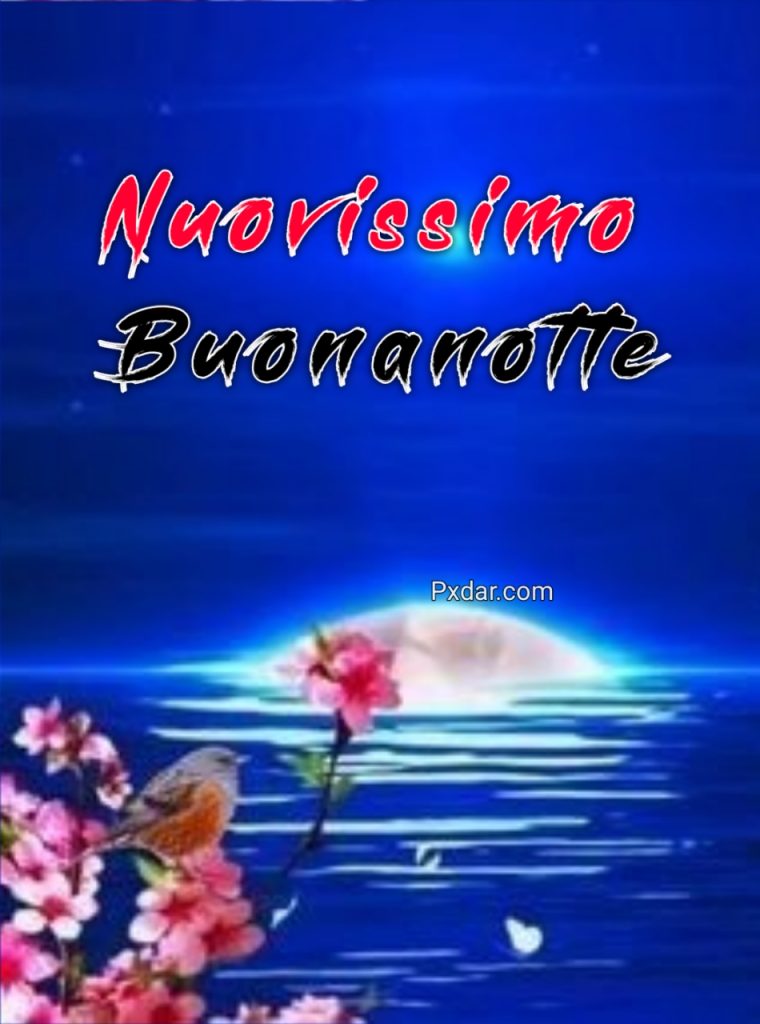 Buonanotte Snoopy Nuovissimi