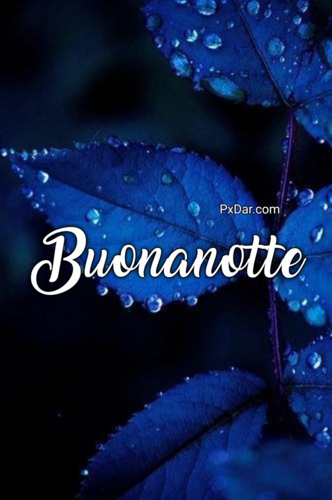 Buonanotte Sogni Bellissimi