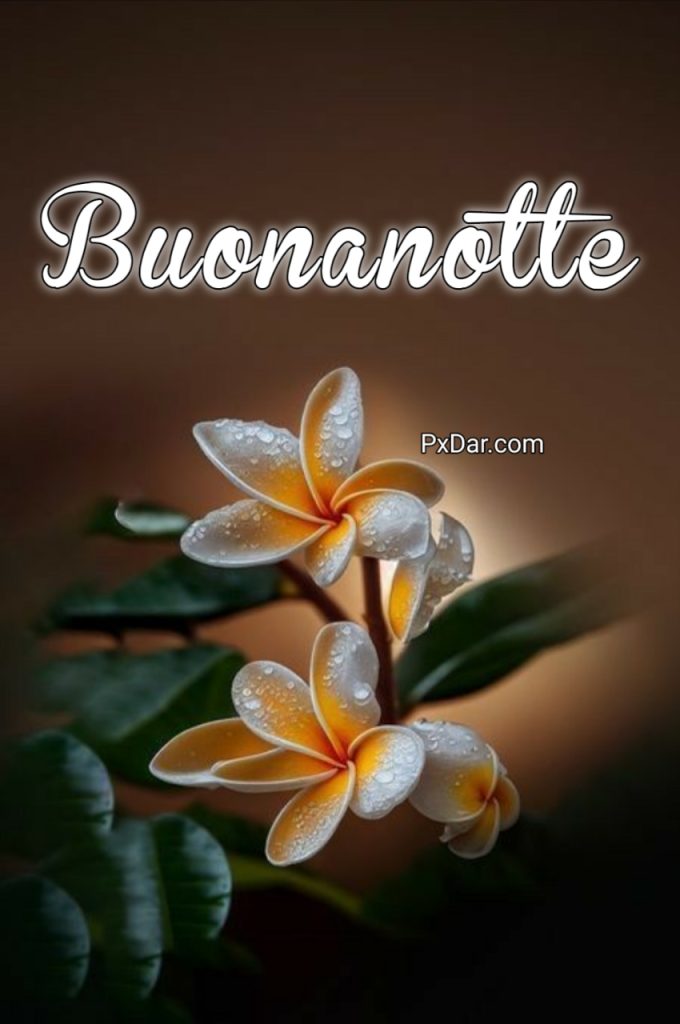 Buonanotte Speciale